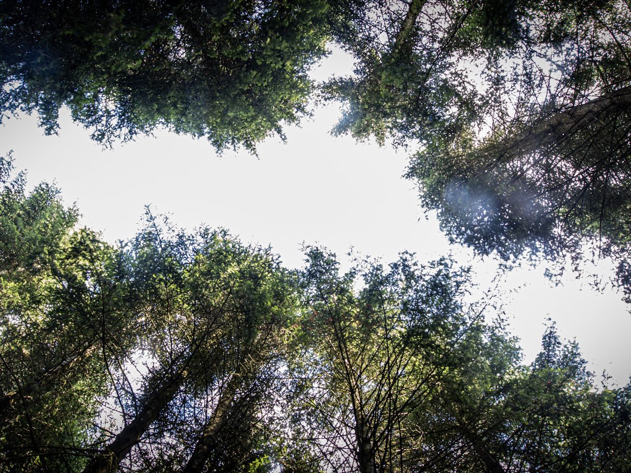 Up